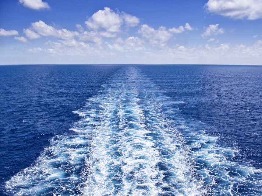 Vielfältige Flotte: Blick vom Bug eines Kreuzfahrtschiffes auf den Horizont