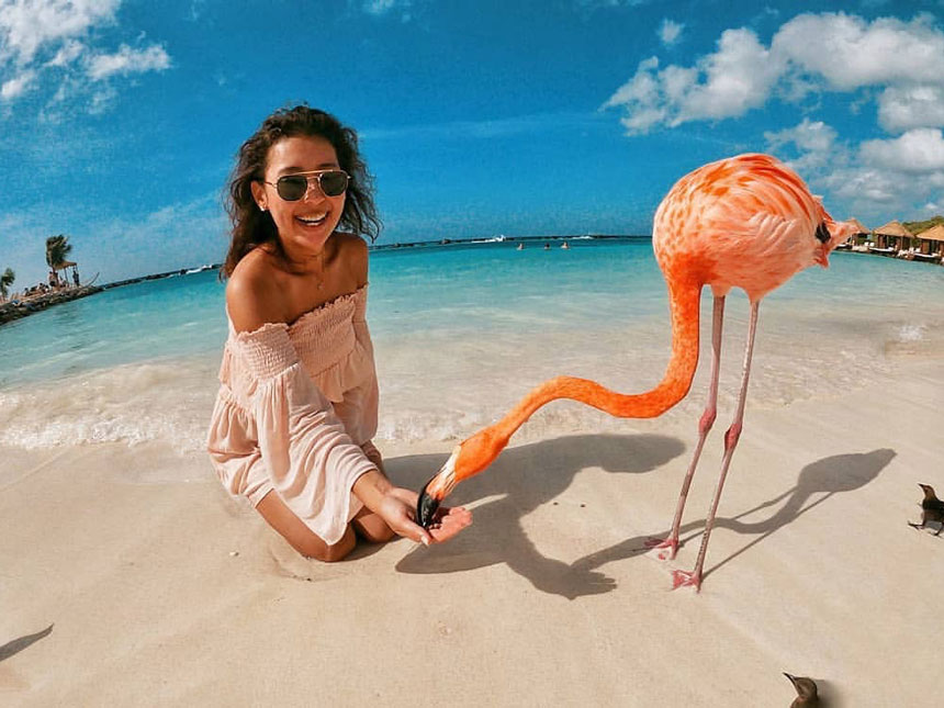 Crew Mitglied kniet an Strand und füttert Flamingo